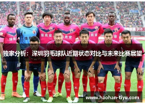 独家分析：深圳羽毛球队近期状态对比与未来比赛展望