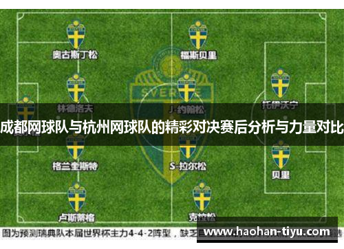 成都网球队与杭州网球队的精彩对决赛后分析与力量对比