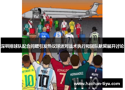 深圳排球队配合问题引发热议球迷对战术执行和团队默契展开讨论